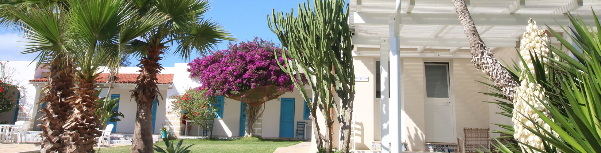 Services of the Antichi Mulini guest house in Favignana