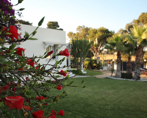 Conditions of stay of the Antichi Mulini guest house in Favignana